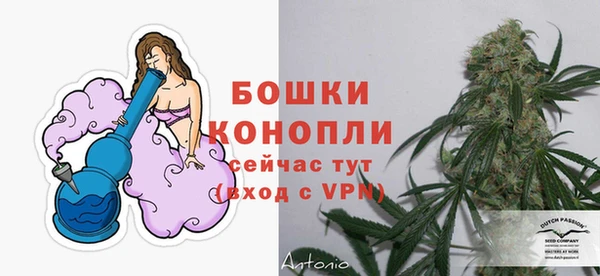 ПСИЛОЦИБИНОВЫЕ ГРИБЫ Горнозаводск