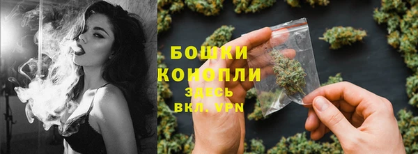 ПСИЛОЦИБИНОВЫЕ ГРИБЫ Горнозаводск