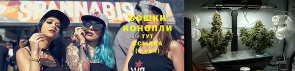 ПСИЛОЦИБИНОВЫЕ ГРИБЫ Горнозаводск