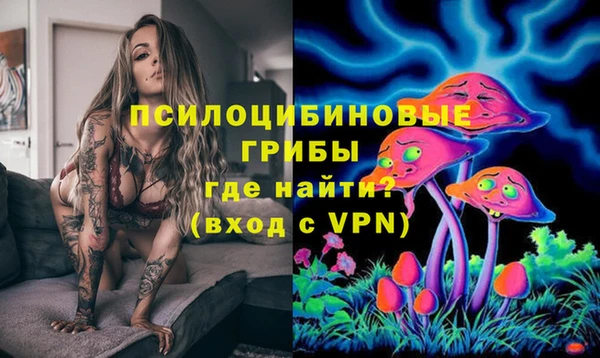 метадон Горняк