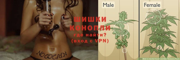 метадон Горняк