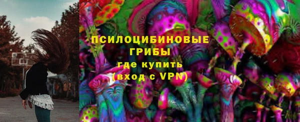 ПСИЛОЦИБИНОВЫЕ ГРИБЫ Горнозаводск