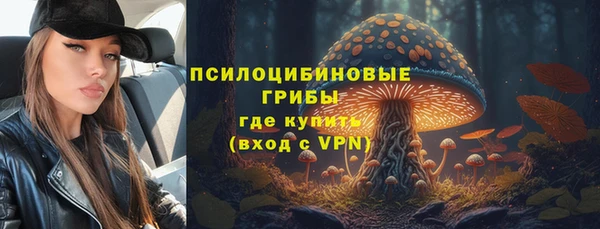ПСИЛОЦИБИНОВЫЕ ГРИБЫ Горнозаводск
