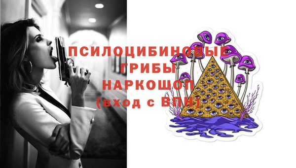 метадон Горняк